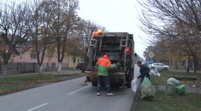 Odnošenje biljnog otpada u Vrbasu 16. decembra