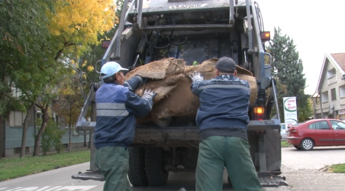 Odnošenje kabastog otpada u naseljenim mestima od 11. do 15. oktobra