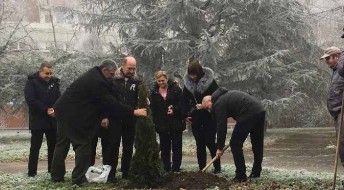 Posađeno drvo u čast prvog deteta rođenog u 2020. godini u OBV