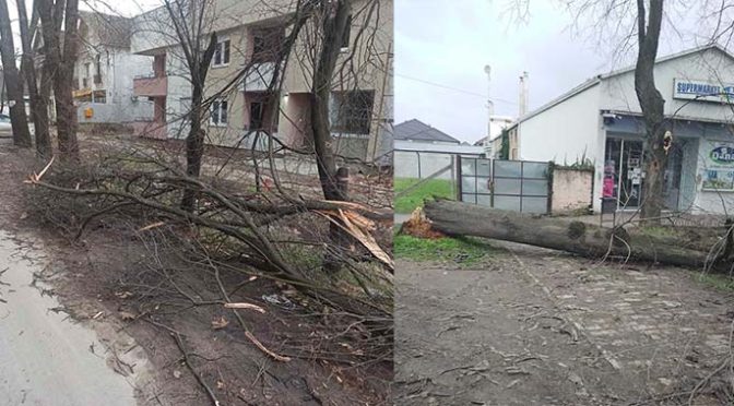 Vetar prouzrokovao veliku štetu širom opštine Vrbas