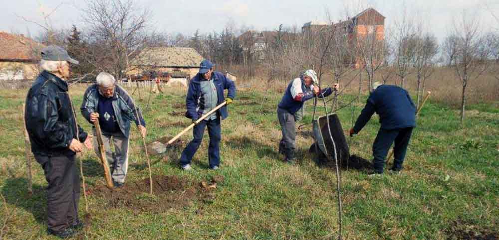 Prva ovogodišnja akcije sadnje – timski rad