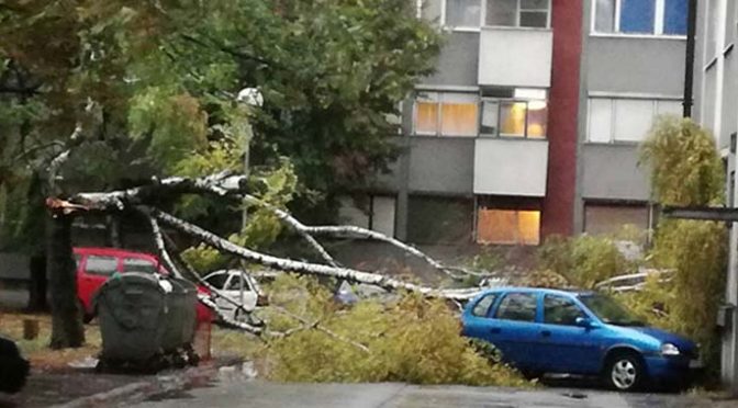 Jak vetar i kiša zahvatili Vrbas i okolinu