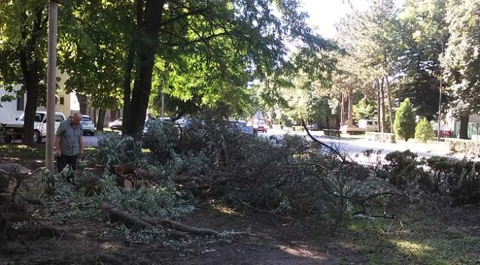 Prijava štete nastale usled olujnog nevremena još 15 dana