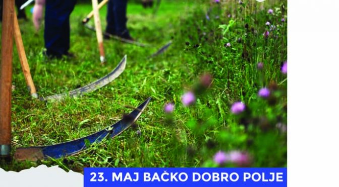 Bačko Dobro Polje u nedelju domaćin 12. Vojvođanske kosidbe