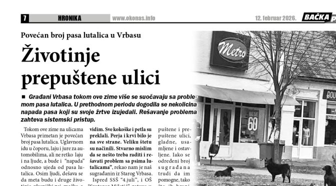 Povećan broj pasa lutalica u Vrbasu