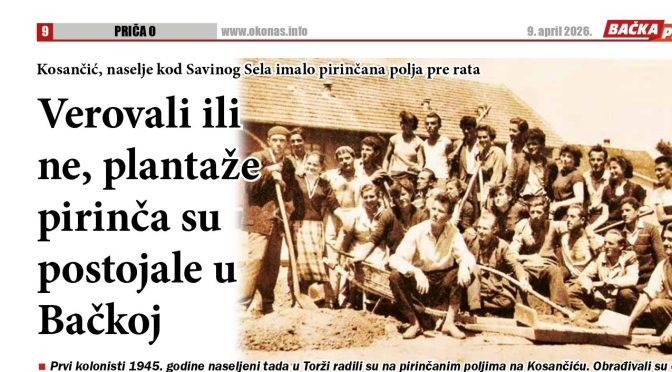 Plantaže pirinča postojale kod nas